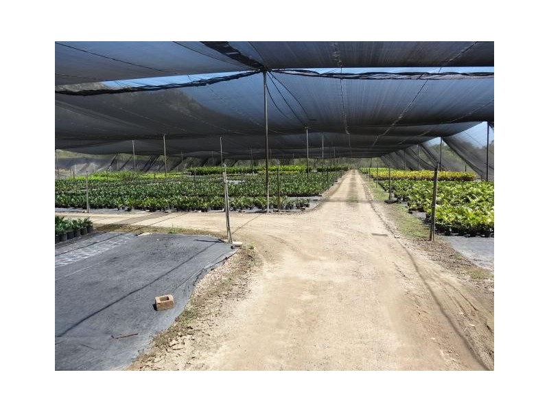 427 West Euri Road, Bowen QLD 4805