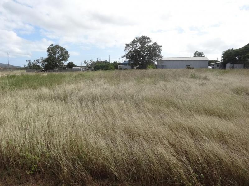 52 Jackson Street, Bowen QLD 4805