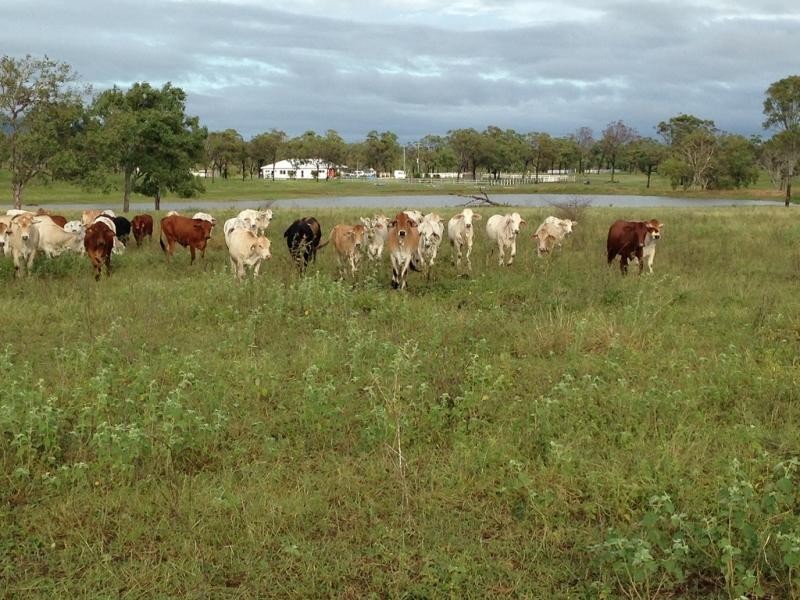 Lot 3 Roma Peak Road, Bowen QLD 4805