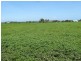 Lot 2, 308 Lower Don Road, Bowen QLD 4805