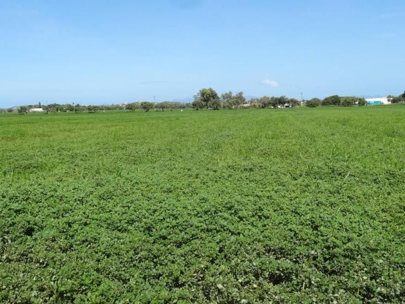 Lot 2, 308 Lower Don Road, Bowen QLD 4805