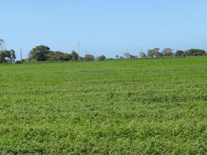 Lot 2, 308 Lower Don Road, Bowen QLD 4805