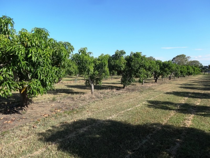 8 Inverdon Road, Bowen QLD 4805