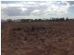 Lot 2 Sandy Lane, Bowen QLD 4805