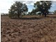 Lot 2 Sandy Lane, Bowen QLD 4805