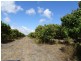 1 Millers Lane, Bowen QLD 4805