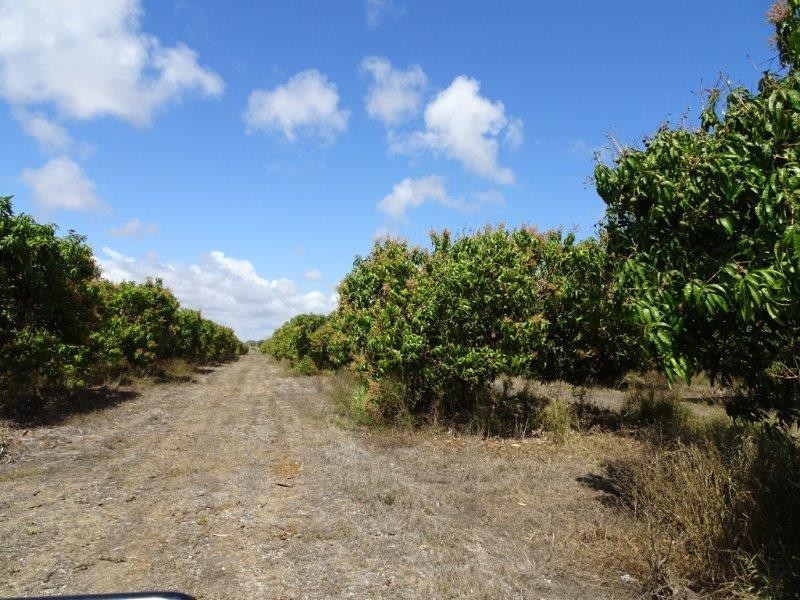 1 Millers Lane, Bowen QLD 4805