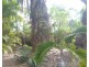 69 Tollington Road, Bowen QLD 4805
