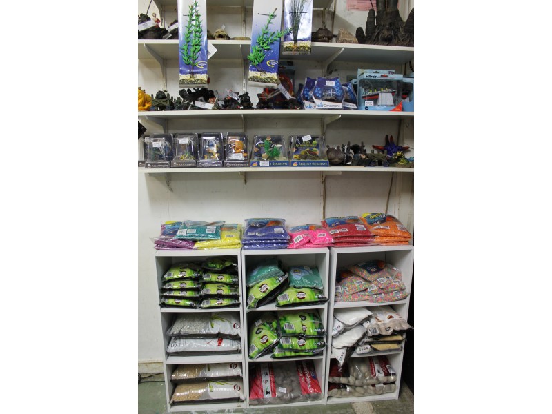 26B Kennedy Street, Bowen QLD 4805