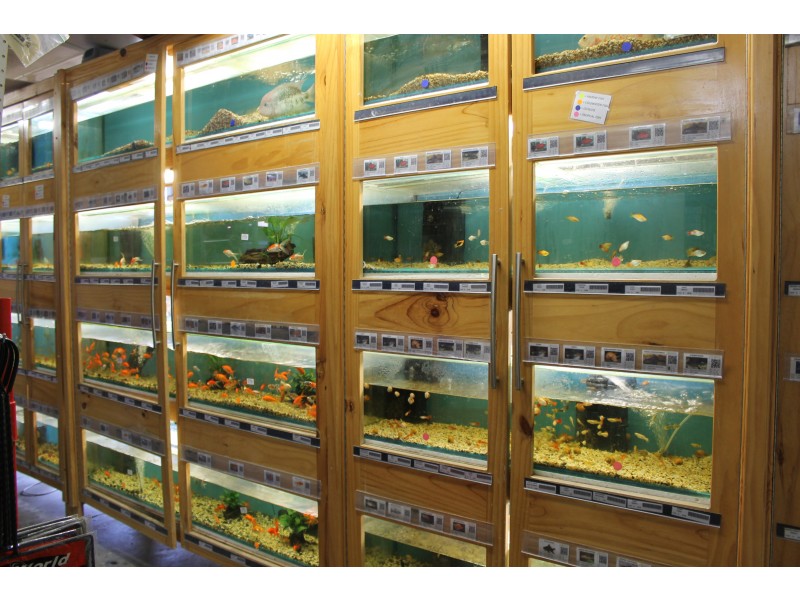 26B Kennedy Street, Bowen QLD 4805