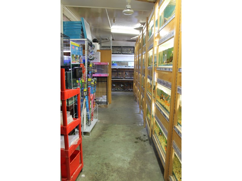 26B Kennedy Street, Bowen QLD 4805