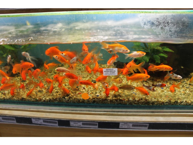 26B Kennedy Street, Bowen QLD 4805