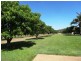 75 Adelaide Terrace, Bowen QLD 4805