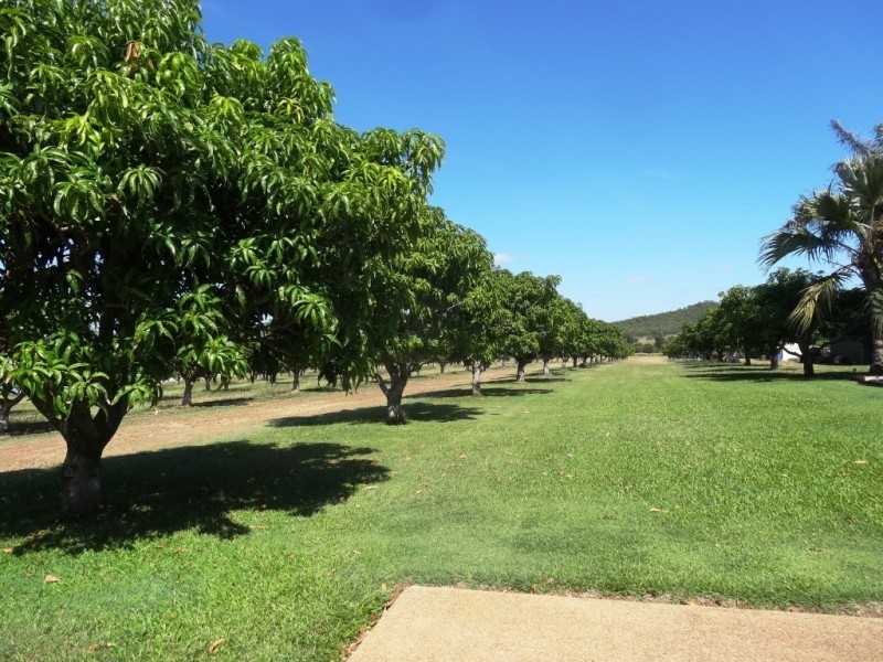 75 Adelaide Terrace, Bowen QLD 4805