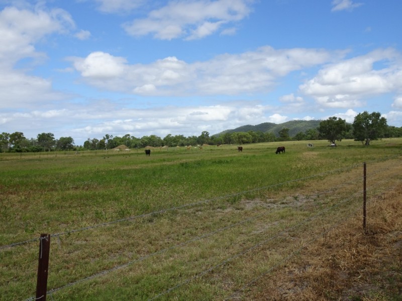 2009 Collinsville Road, Bowen QLD 4805