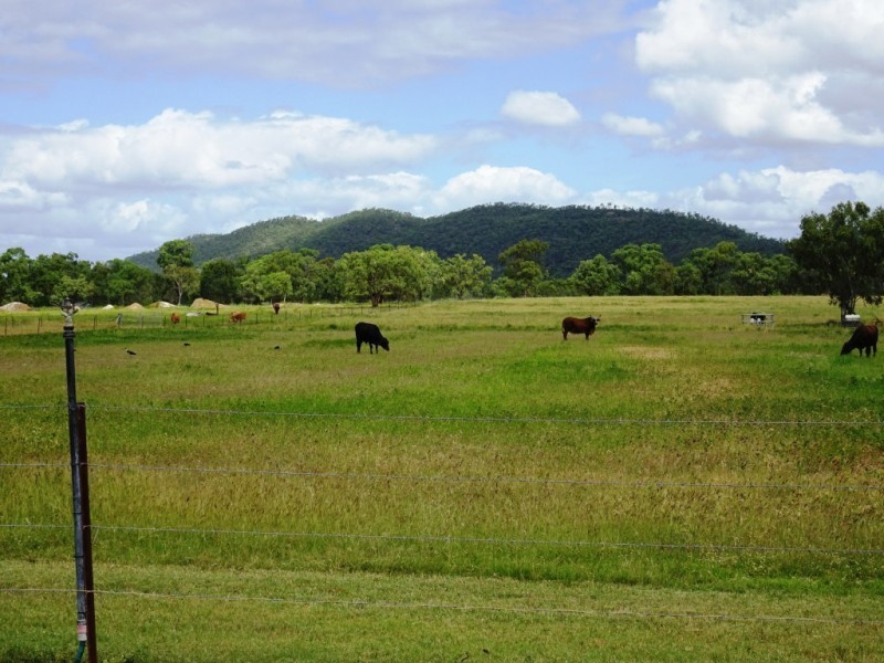 2009 Collinsville Road, Bowen QLD 4805