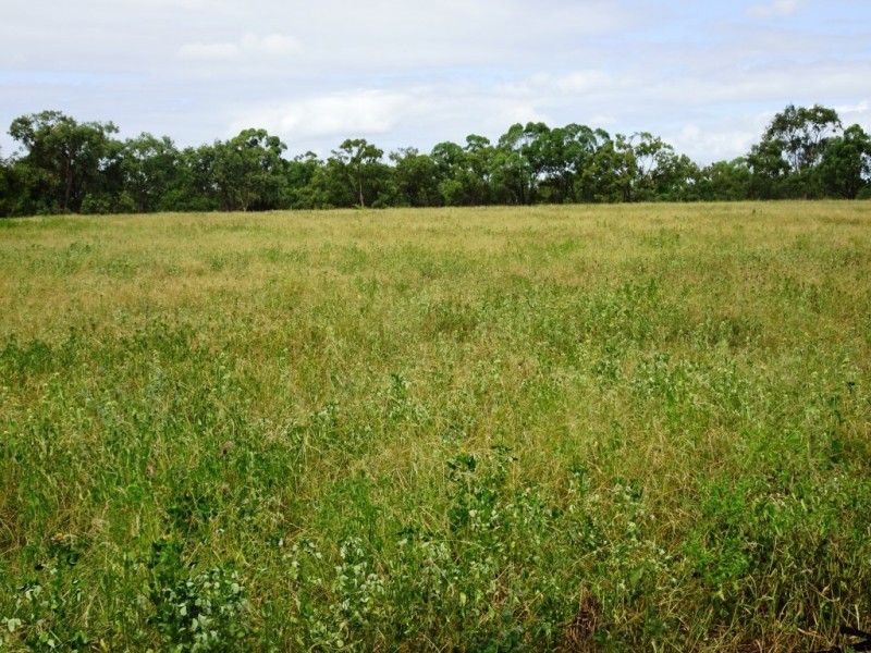 2009 Collinsville Road, Bowen QLD 4805