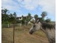 54 Avoca Road, Bowen QLD 4805