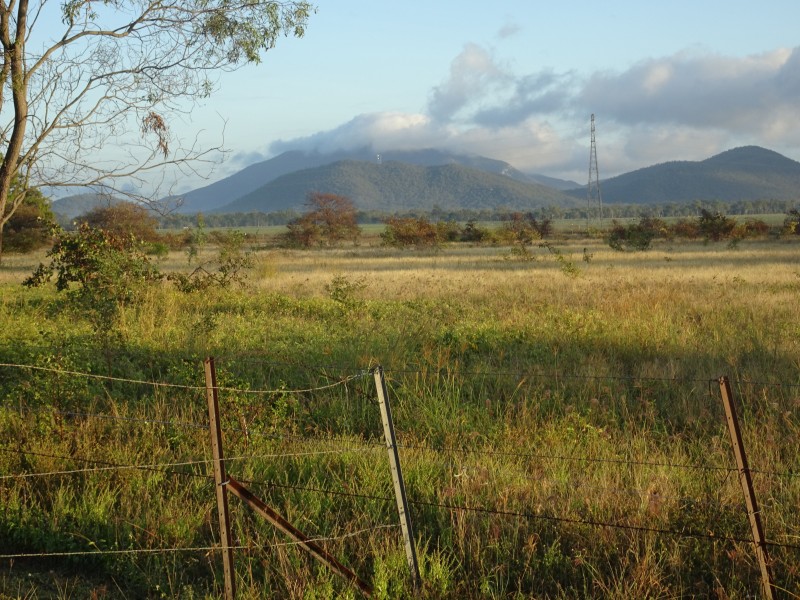 248 Mt Buckley Road, Bowen QLD 4805