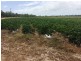 Lot 14 Bruce Highway, Gumlu QLD 4805