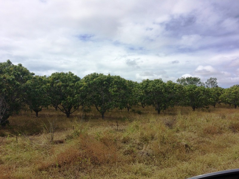 Lot 14 Bruce Highway, Gumlu QLD 4805