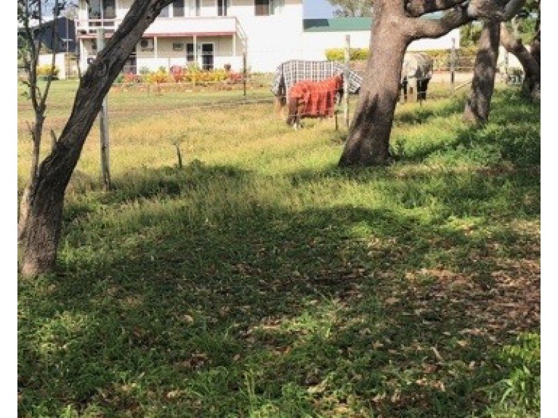 57 Betzels Lane, Bowen QLD 4805