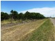 263 Kelsey Road, Bowen QLD 4805
