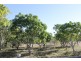 326 Mt Dangar Road, Bowen QLD 4805