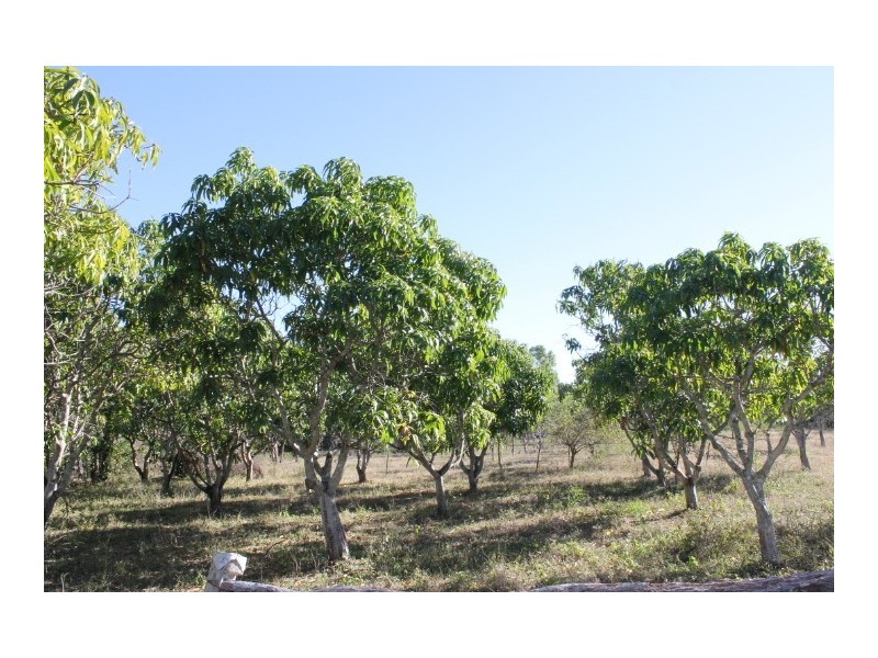 326 Mt Dangar Road, Bowen QLD 4805