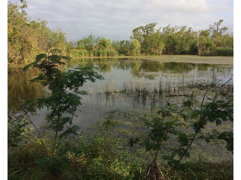 317 Balaam Road, Bowen QLD 4805