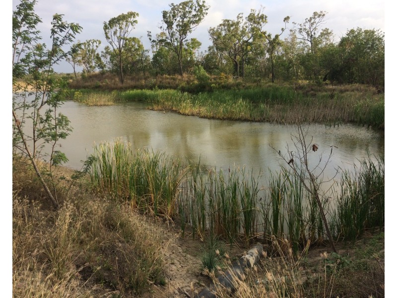 317 Balaam Road, Bowen QLD 4805