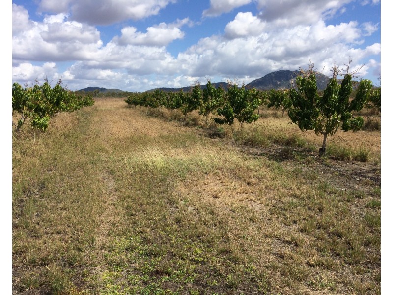 317 Balaam Road, Bowen QLD 4805