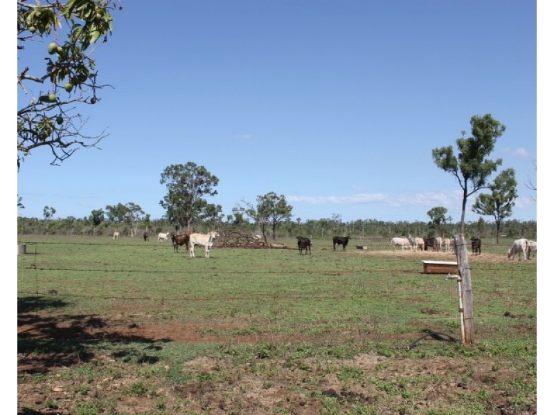 156 Summerhills Road, Bowen QLD 4805