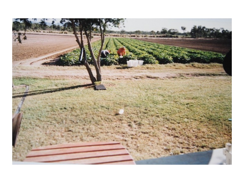 91 Gee Dee Road, Bowen QLD 4805