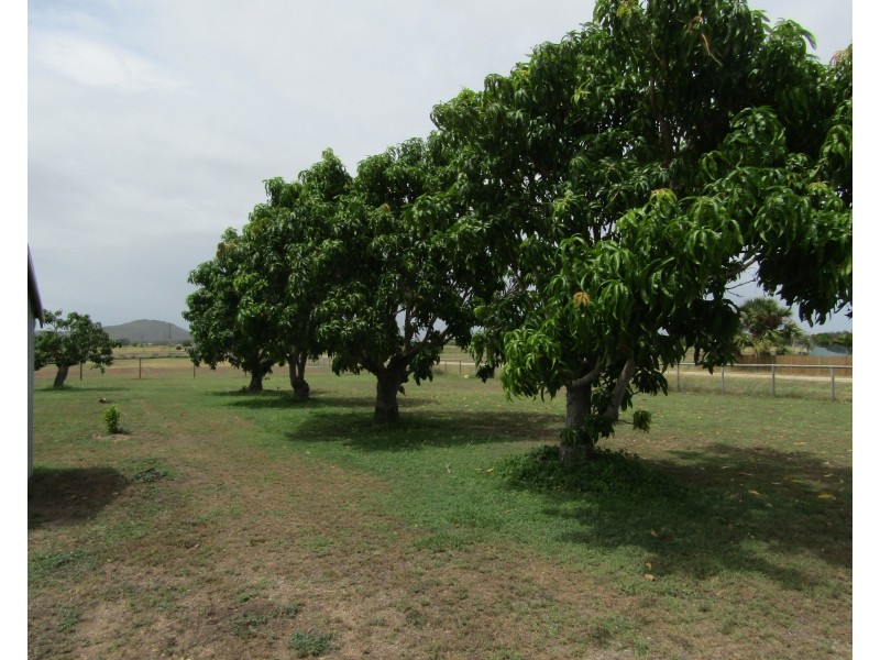 59 FLEMINGTON ROAD, Bowen QLD 4805