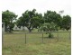 59 FLEMINGTON ROAD, Bowen QLD 4805