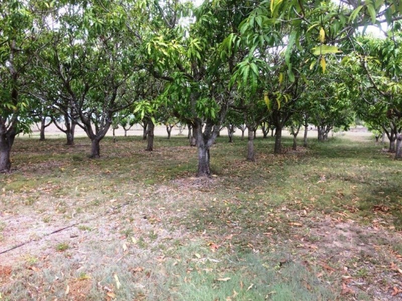 130 Balaam Road, Bowen QLD 4805