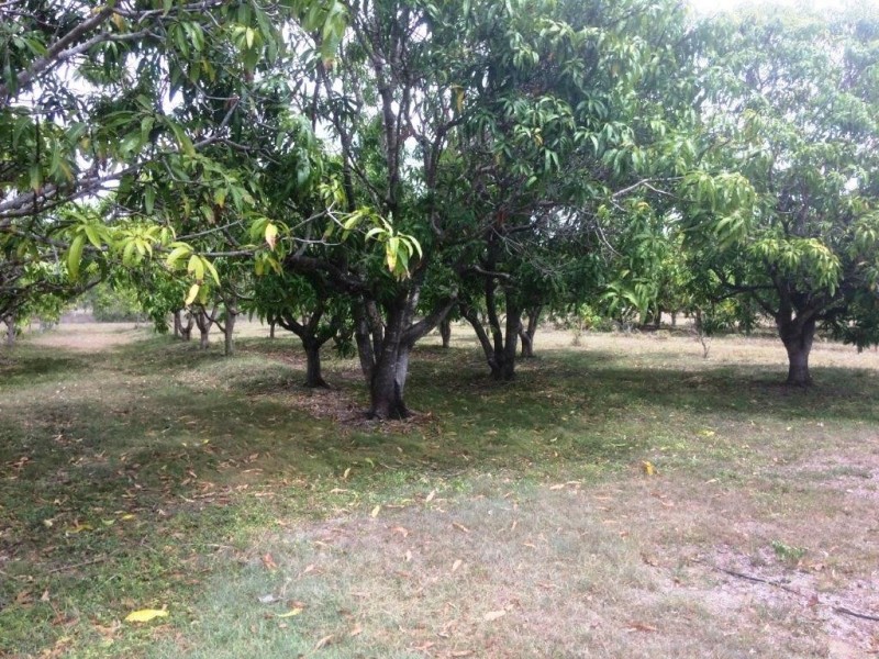 130 Balaam Road, Bowen QLD 4805