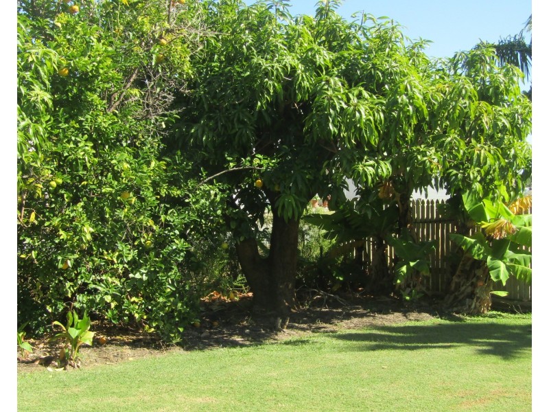 35 Tollington Road, Bowen QLD 4805