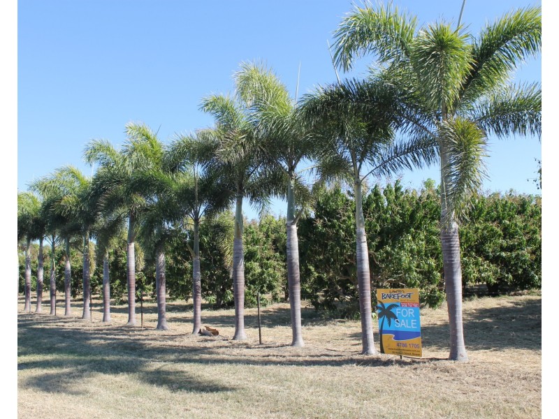 8 Inverdon Road, Bowen QLD 4805