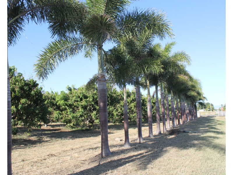 8 Inverdon Road, Bowen QLD 4805