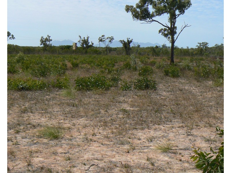 Lot 48 Lorikeet Cresent, Bowen QLD 4805