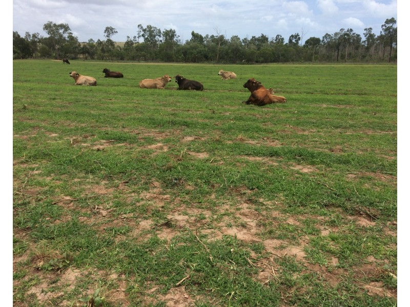 440 Gordon Glen Road, Bowen QLD 4805