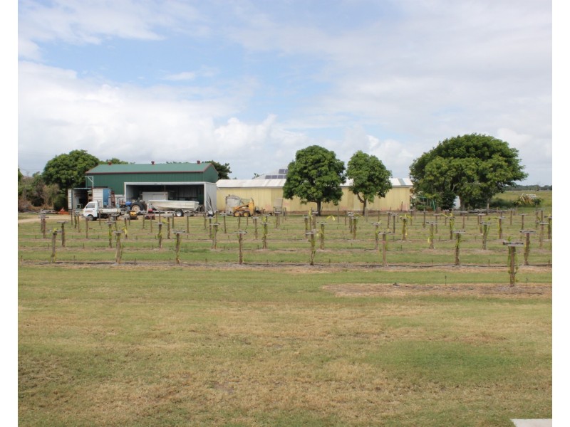 173 Inveroona Road, Bowen QLD 4805