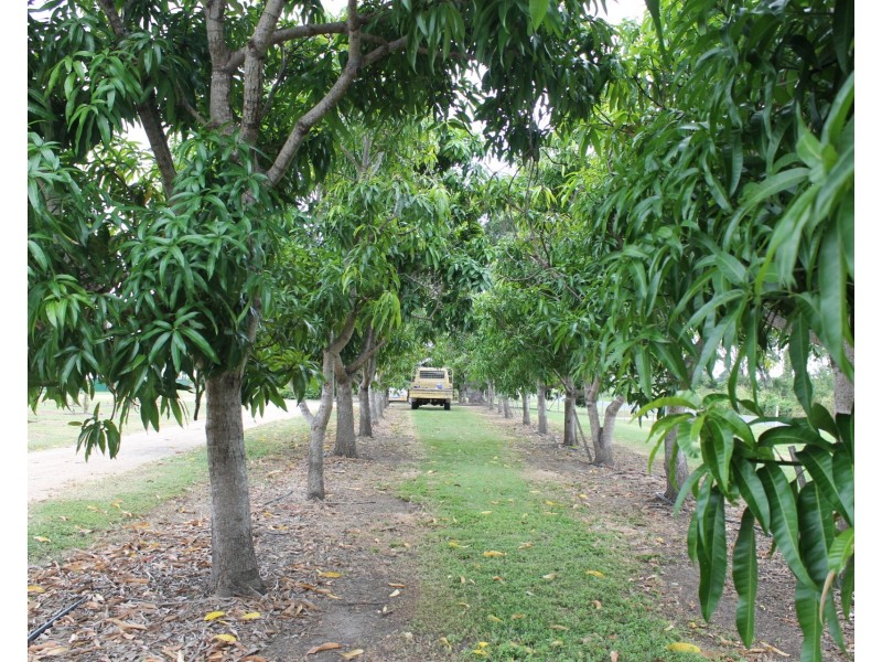 173 Inveroona Road, Bowen QLD 4805