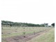 173 Inveroona Road, Bowen QLD 4805