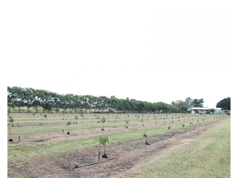 173 Inveroona Road, Bowen QLD 4805