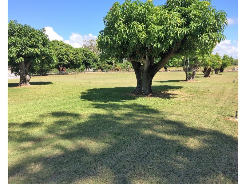 29 Telegraph Road, Bowen QLD 4805