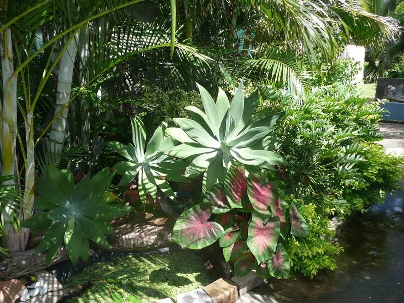 68 Dalrymple Street, Bowen QLD 4805