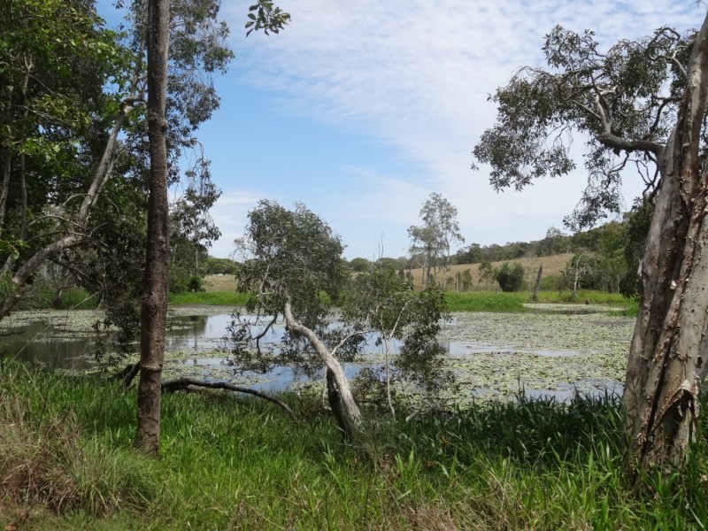 98 Allan Road, Conway Beach QLD 4800